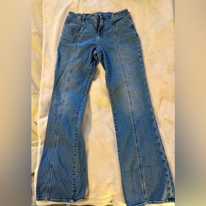 American Eagle Outfitters Blue Skinny Jeans